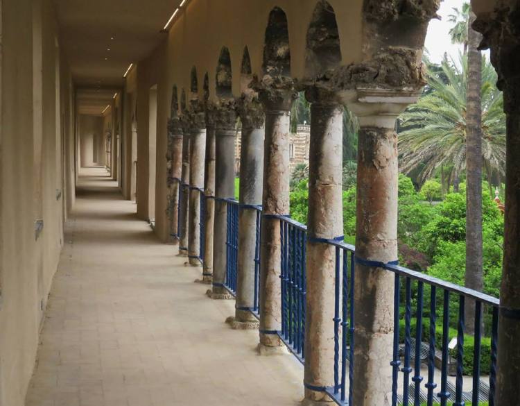 11029474_1002478719770946_6017609206034039224_n