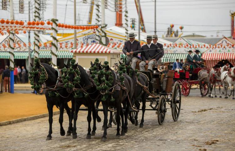 11036601_896164640406912_3718633838695317279_o