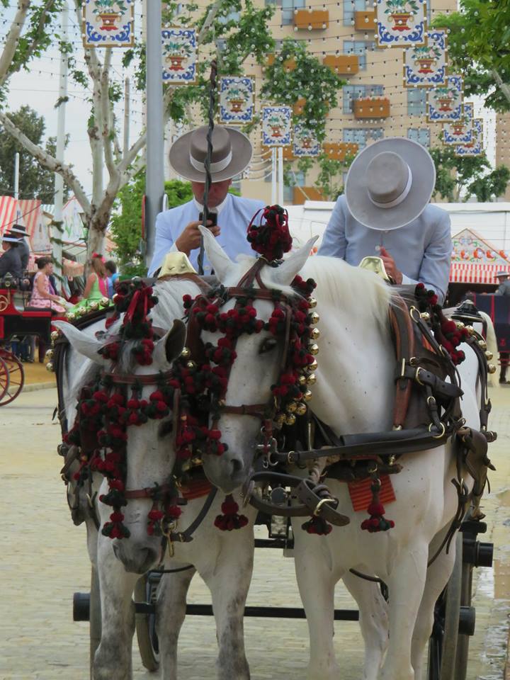 11168531_1002480363104115_3416172177552711917_n