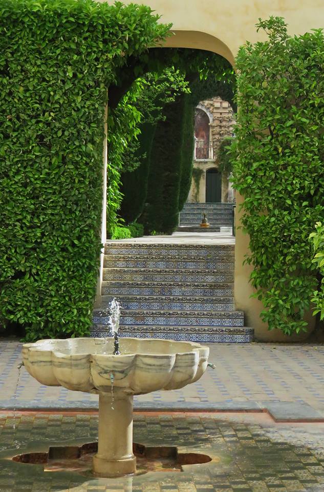 11174951_1002478109771007_4234767576508037983_n